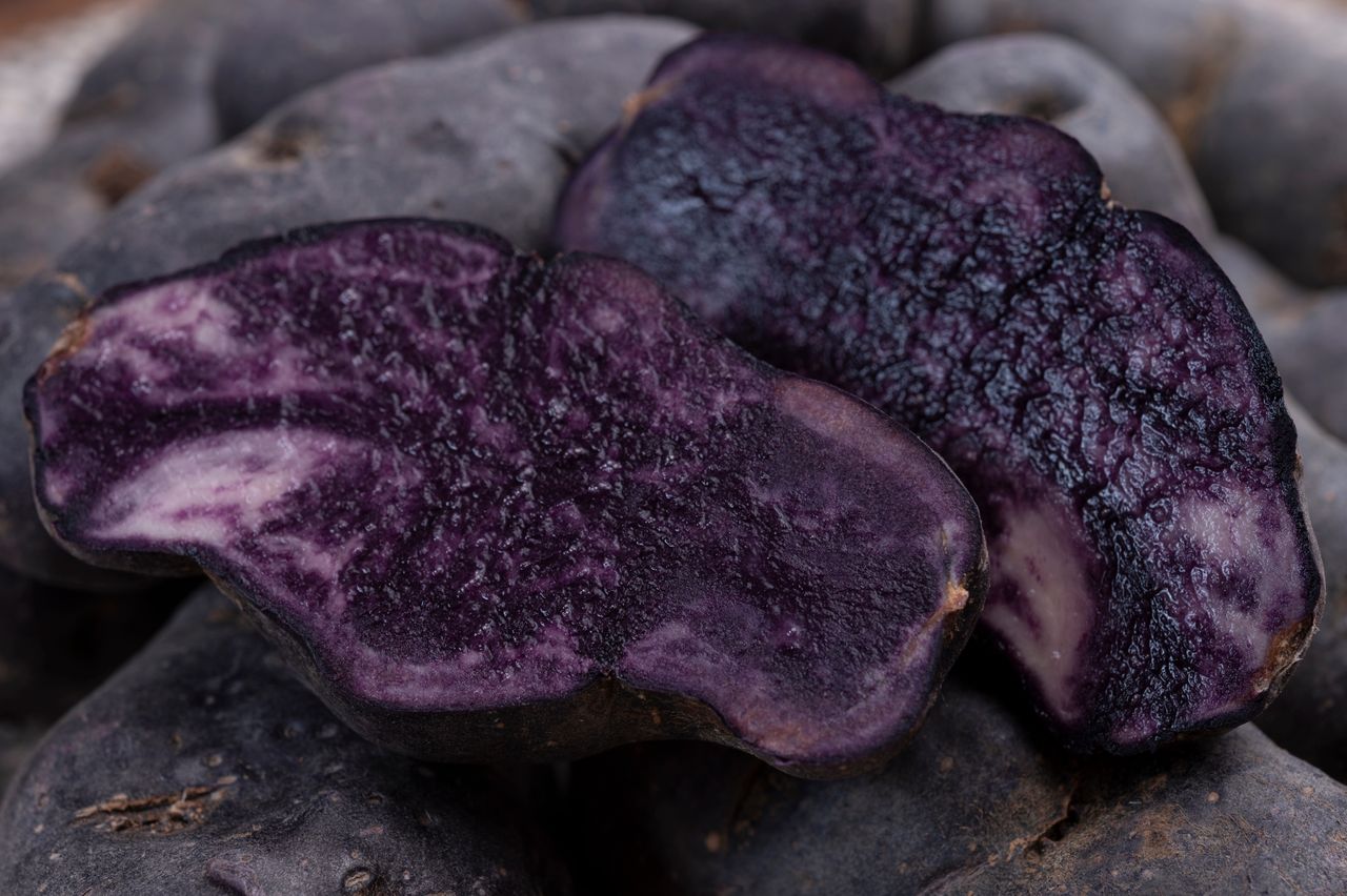 Fioletowe ziemniaki to ciekawostka, ale rzadko je kupujemy