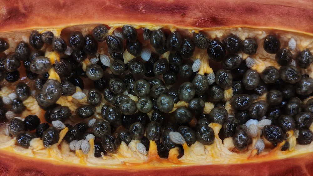 Jakie owoce pomagają na problemy ze stawami?