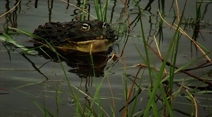 Zabójcza szybkość 2