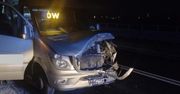 Powiat ostrowiecki – potrącony jeleń i rozbite auto [Foto]