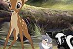 Jelonek Bambi powraca