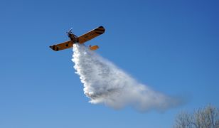 Pożar lasu w Kobyłce. W akcji samolot gaśniczy