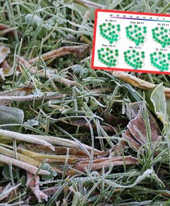 Viandelde przyniesie przymrozki. To czeka nas w najbliższych dniach