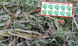 Viandelde przyniesie przymrozki. To czeka nas w najbliższych dniach