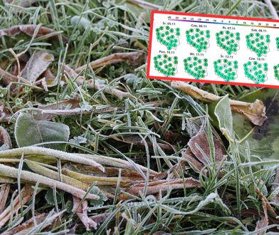 Viandelde przyniesie przymrozki. To czeka nas w najbliższych dniach