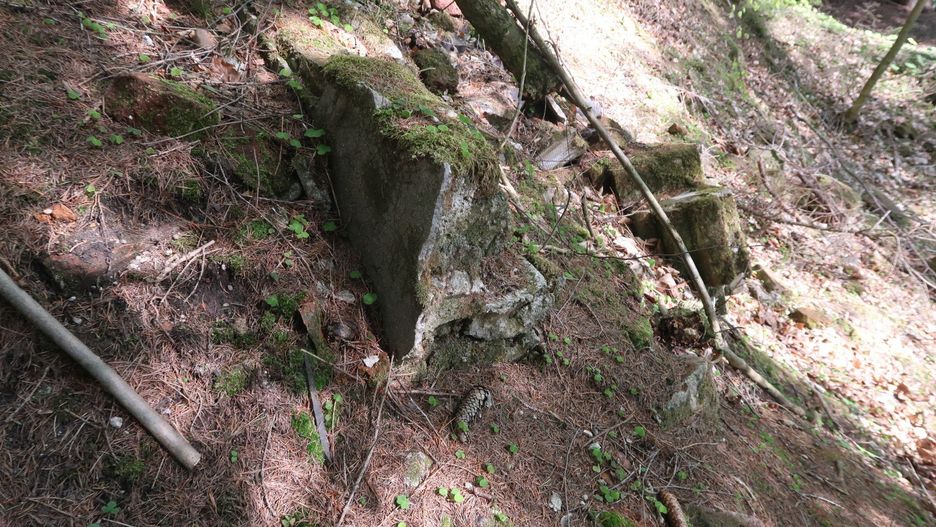 Tajemnicza ruina w lesie w okolicy Dzikowca na Dolnym Śląsku