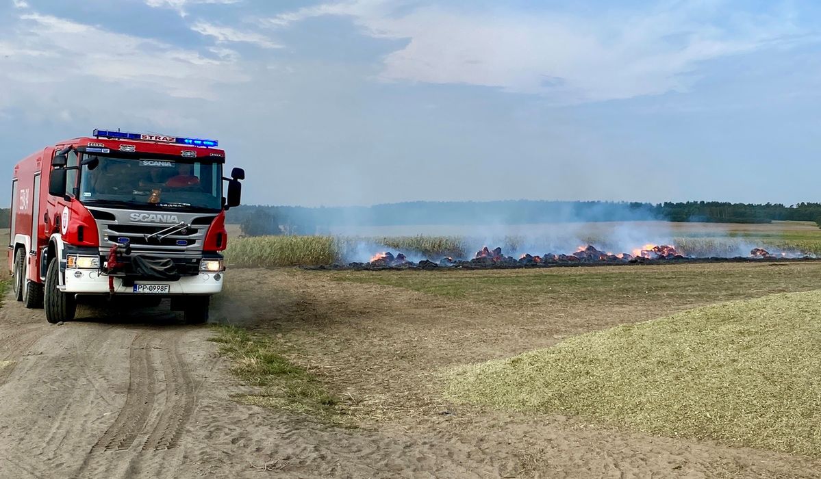 To się w głowie nie mieści! Dorośli podpalali baloty