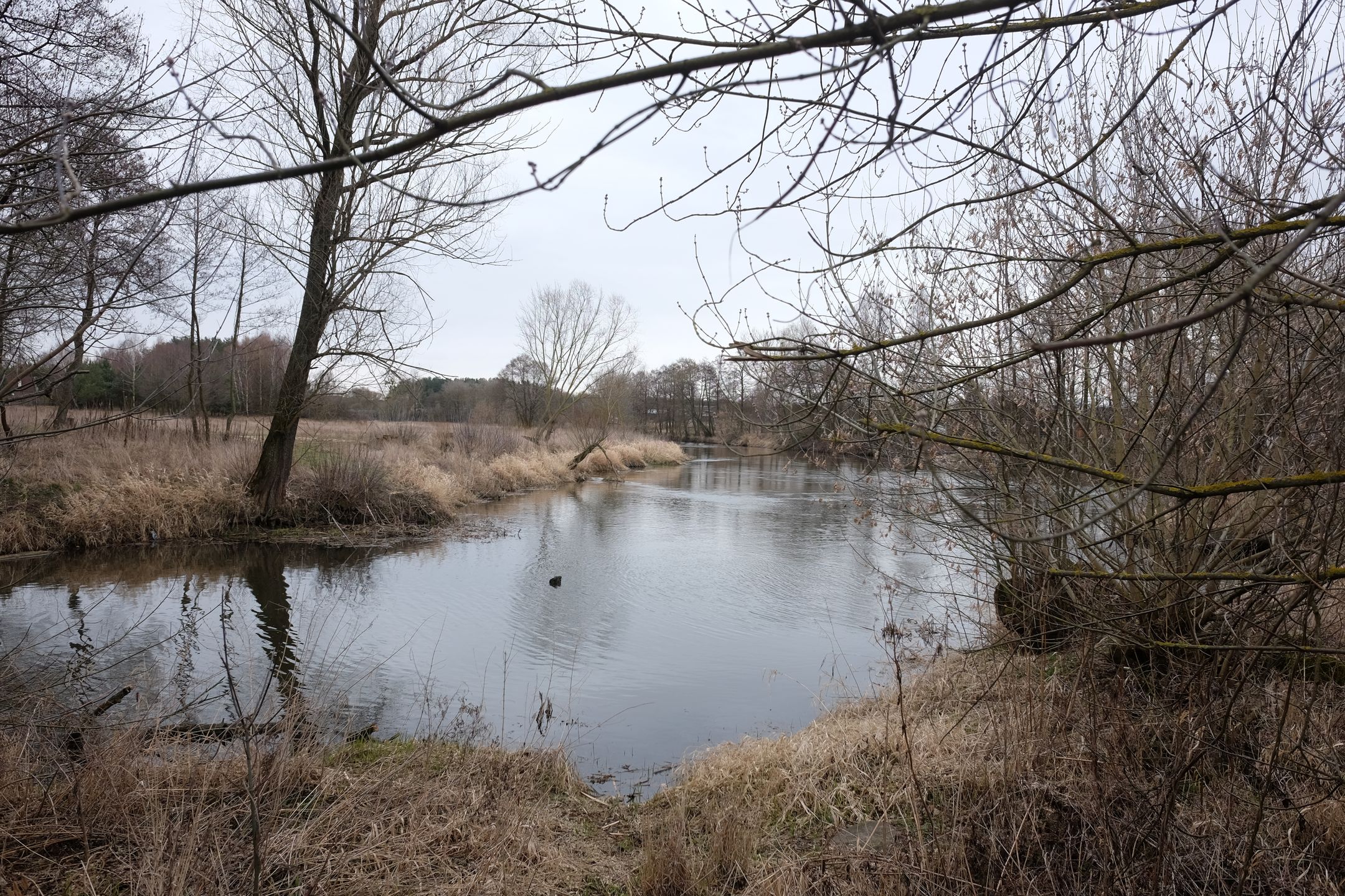 Fujifilm X70 - kieszonkowe APS-C [test] 69