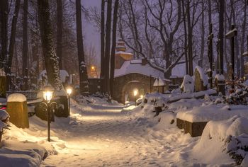 Cmentarz jak dzieło sztuki. O tej porze roku przyciąga masę turystów