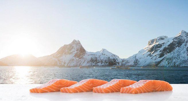 Marine Harvest Polska klientem Codemedia