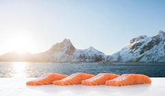 Marine Harvest Polska klientem Codemedia