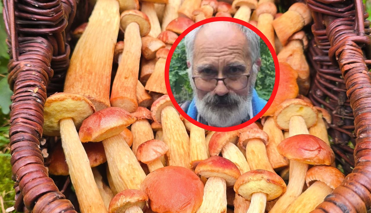 Leśnicy alarmują. "Sygnał ostrzegawczy". Reakcja eksperta