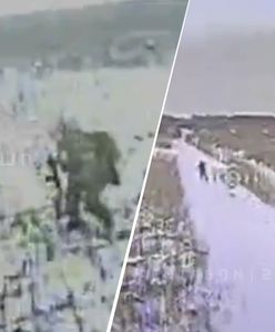 Miny zbierają żniwa. Prawie tysiąc Rosjan zginęło