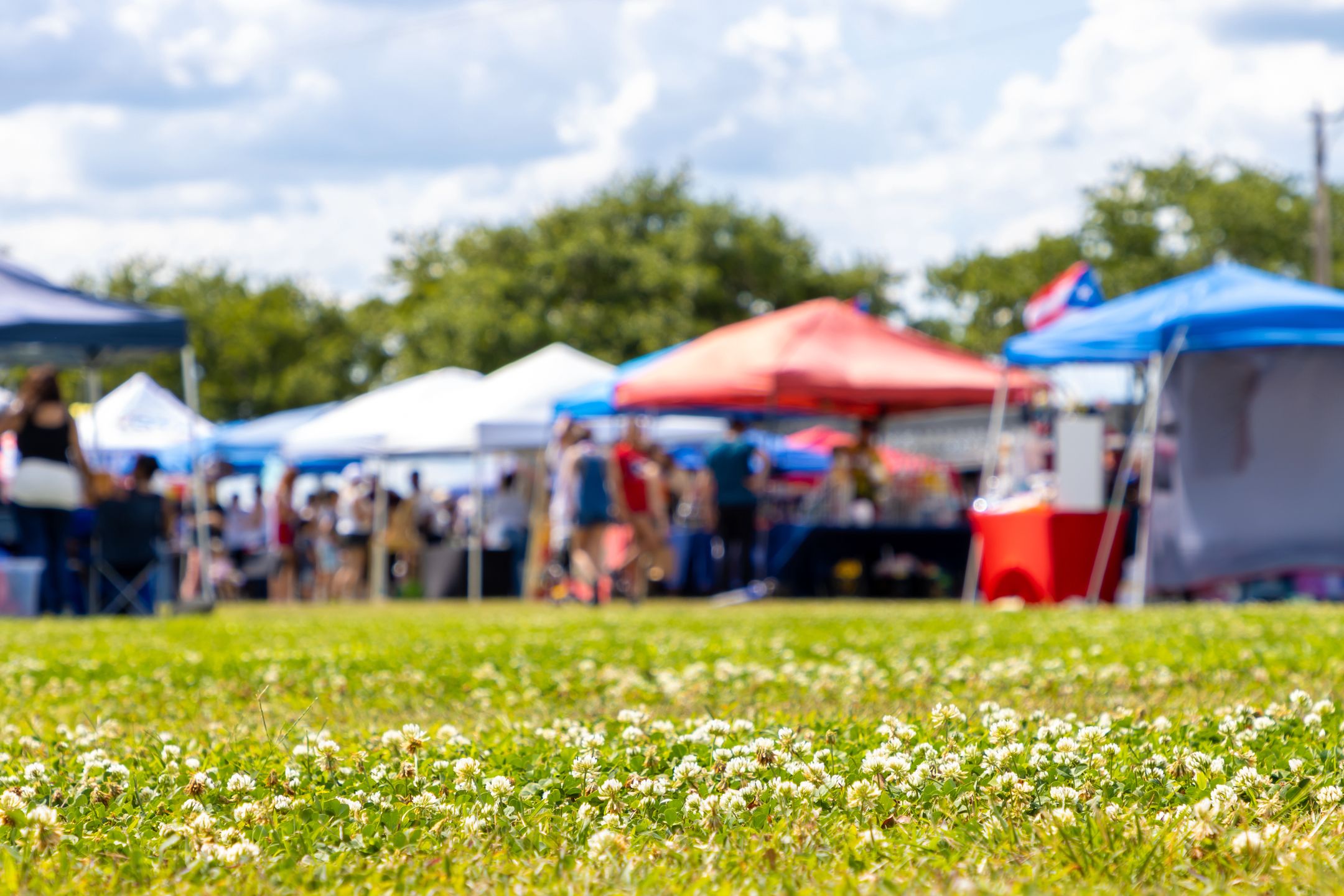 festival, fair, carnival, weekend, fun, park, tent, grass, booth, vendor, summer, ground, activity, culture, cultural, art, church, event, blurry, defocused, background, attendance, attend, sell, buy, outdoor, outside
