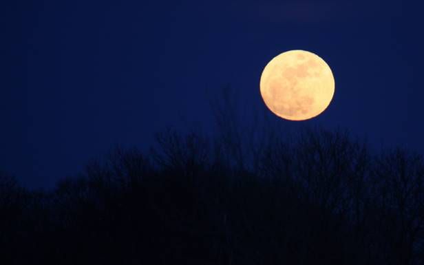 Księżyc krążył wokół Wenus - twierdzi prof. Dave Stevenson
