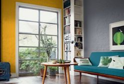 Kolorowe ściany. Jak z sukcesem zastosować żywy kolor ścian?