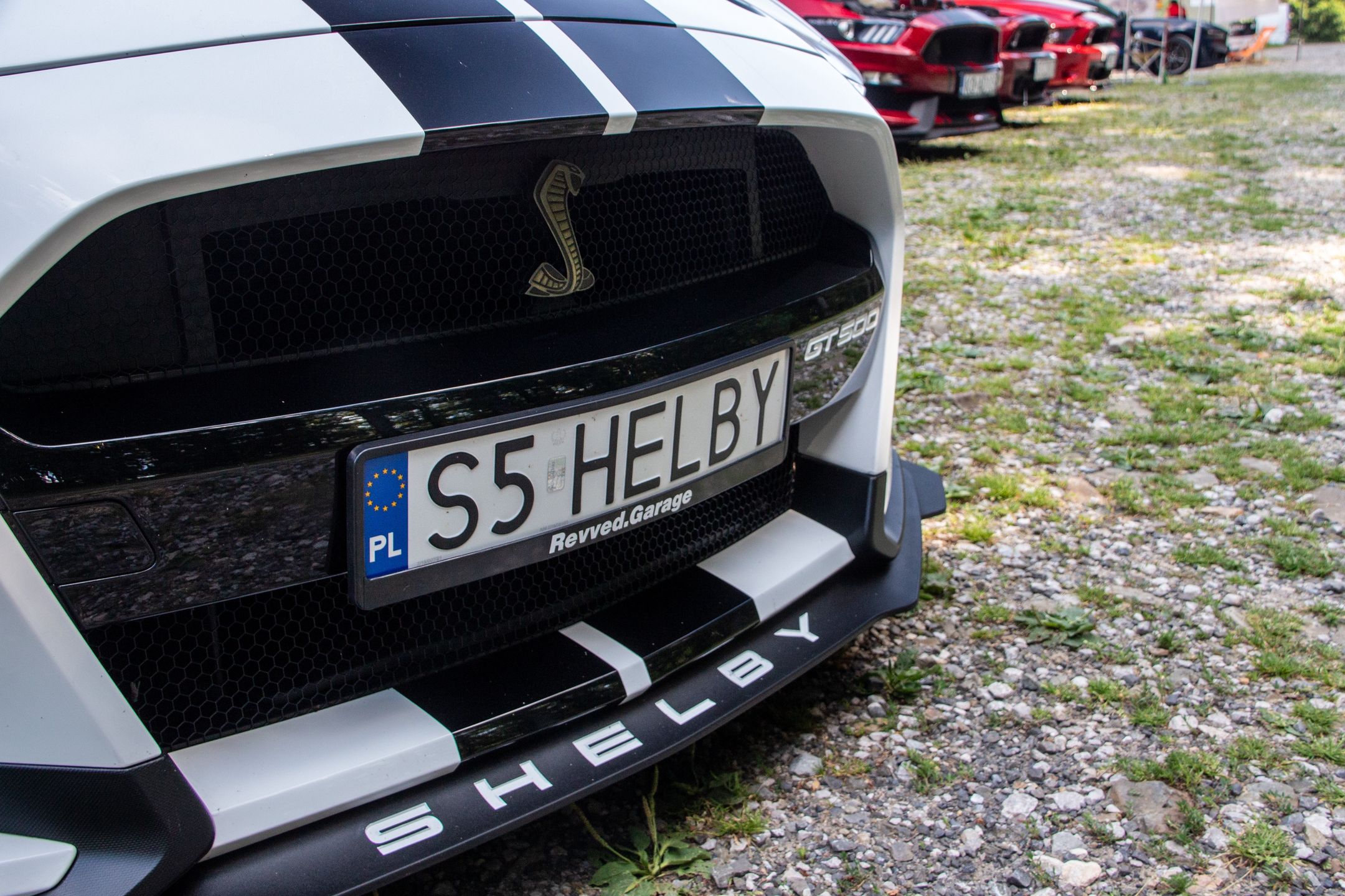 Małopolski & Śląski Zlot Mustangów 2024