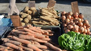 Pozwala zarobić 48 tys. z hektara, a to i tak nie jest rekordzistą