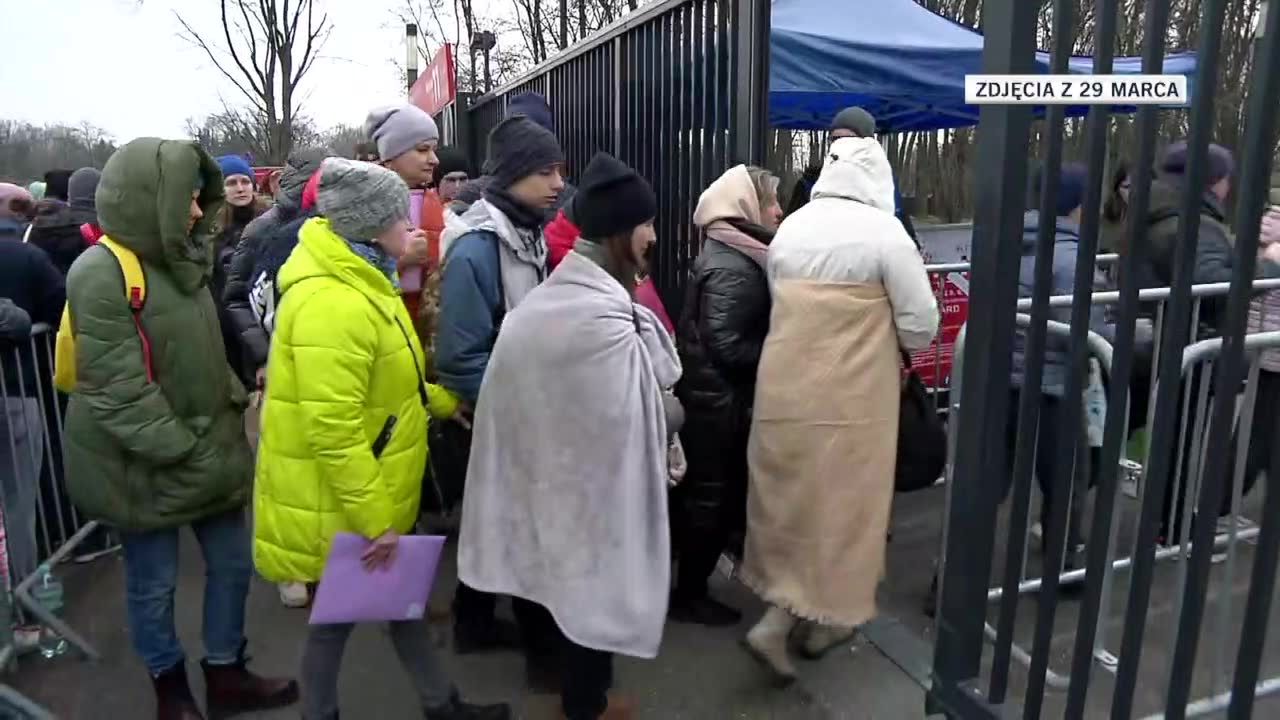 Ponad milion uchodźców z Ukrainy otrzymało numer PESEL. Blisko połowa z nich to dzieci i młodzież