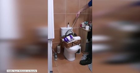 Pyton znaleziony w… papierze toaletowym.