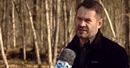 Mur na granicy z Białorusią może spowodować tragiczne skutki dla Puszczy Białowieskiej.