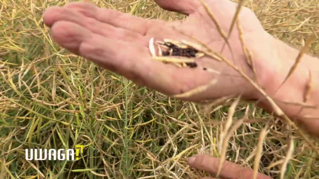 Brakuje wody w kranach, wysychają nawet jeziora, problem suszy narasta. „Każdego roku mamy temperaturę wyższą od średniej”