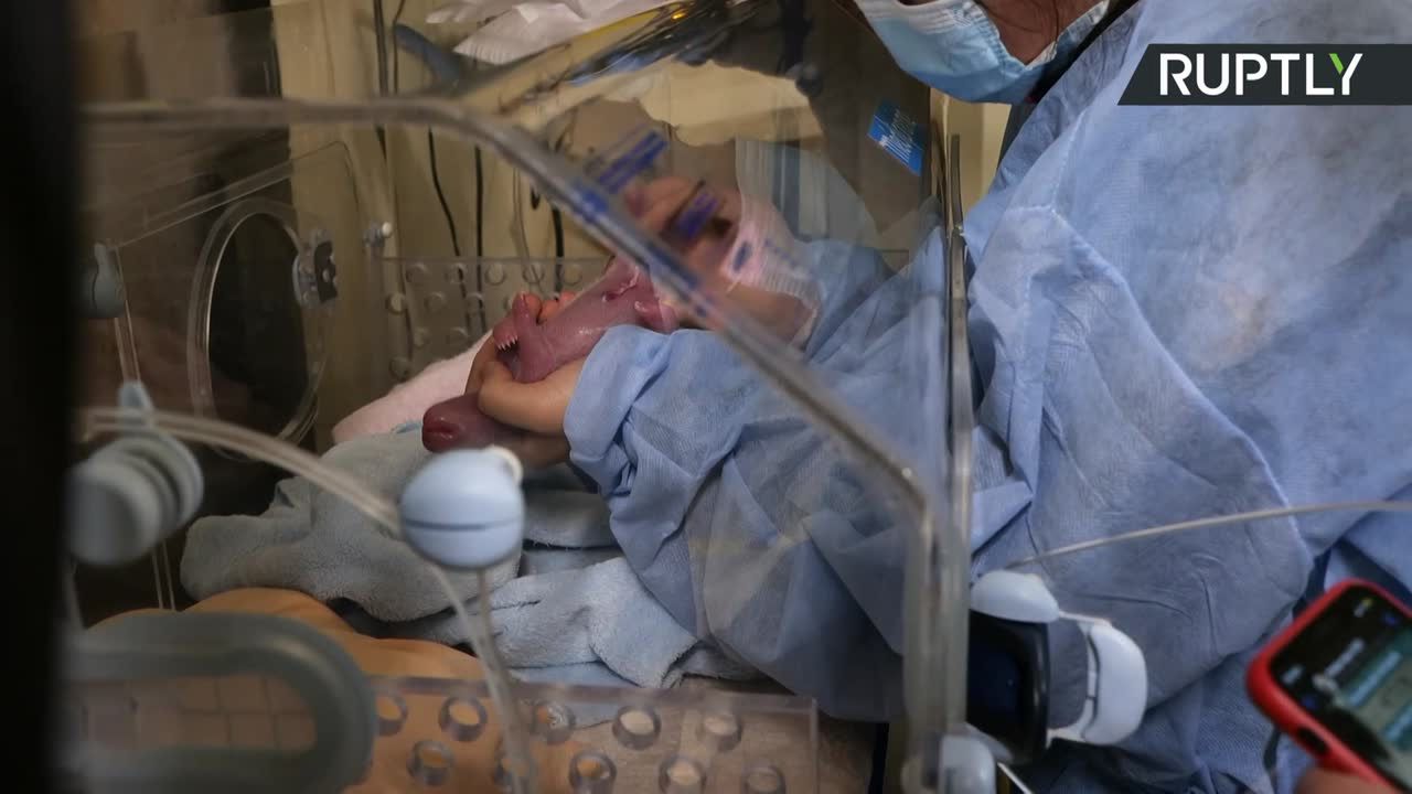 Dwie pandy wielkie przyszły na świat we francuskim zoo