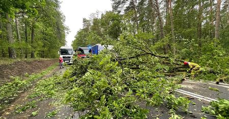 Silnie powiało w pow. chodzieskim