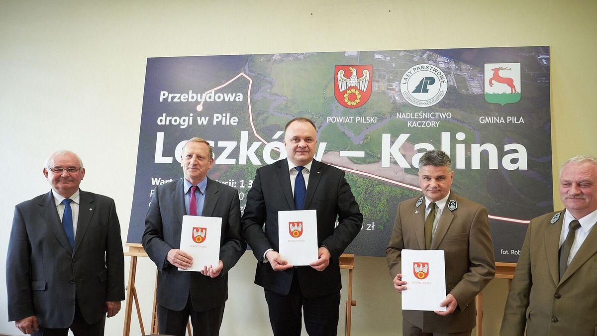 zdjęcie