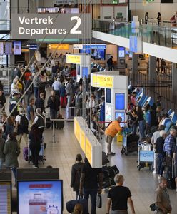 Media: Polacy lecieli do Meksyku. Przez transport koni utknęli w Amsterdamie