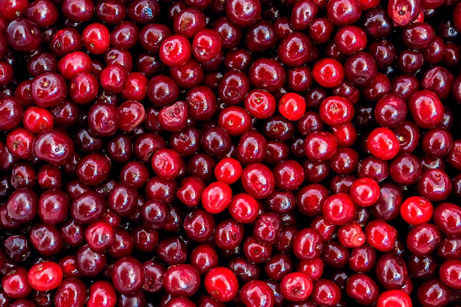 Wiśnie działają przeciwzapalnie i zmniejszą dolegliwości u chorujących na artretyzm