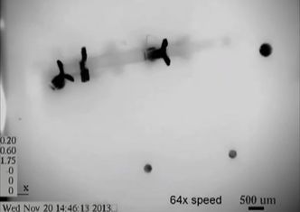 Miniaturowe roboty mogą pracować w żyłach