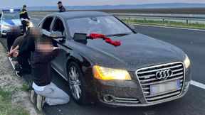 Jechali na mecz z Polską. Kibice z Albanii trafili do aresztu