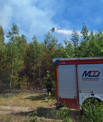 Duży pożar lasu na Mazowszu. W akcji liczne zastępy straży oraz samolot Dromader
