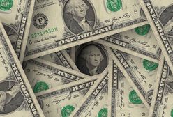 Dolar notuje największy wzrost wartości od 20 lat