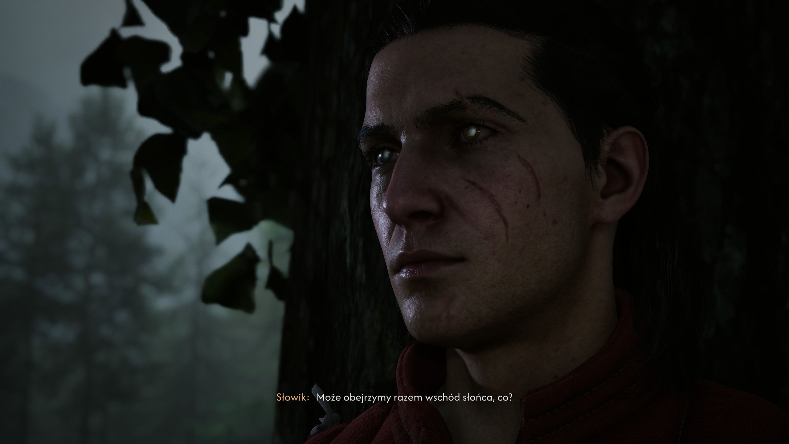 Recenzja The Blood of Dawnwalker
