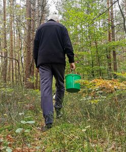 Poszli na grzyby, ale zapomnieli, czego nie wolno. Dostali 500 zł mandatu