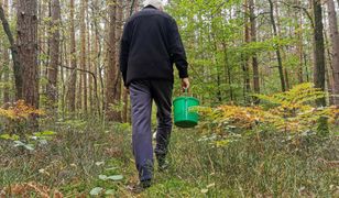 Poszli na grzyby, ale zapomnieli, czego nie wolno. Dostali 500 zł mandatu