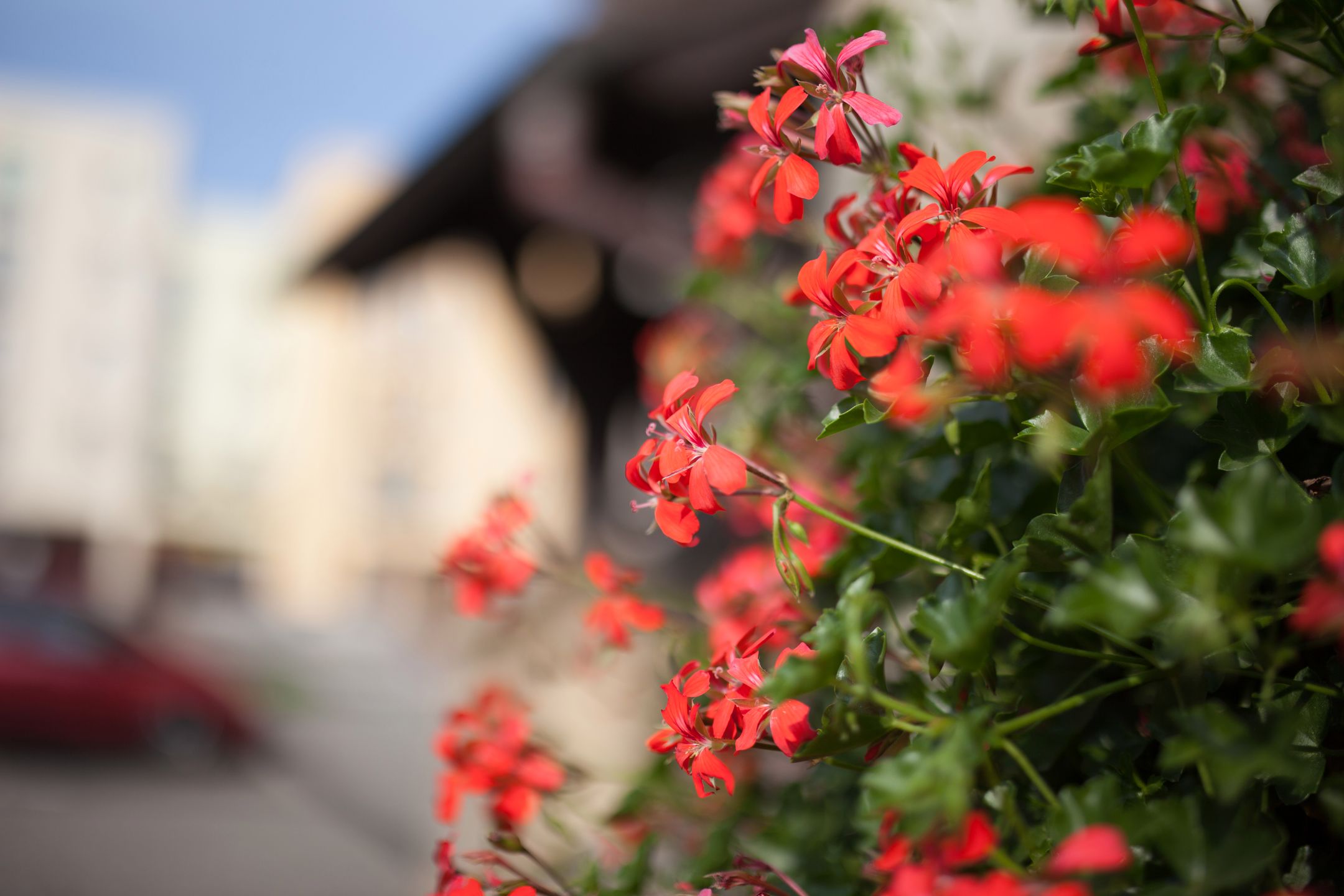 Sigma 35 mm f/1.4 ART DG HSM - od niej wszystko się zaczęło [recenzja] 24