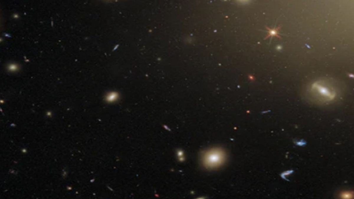 To tylko fragment zdjęcia przedstawiającego gromadę galaktyk, a i tak wywiera ogromne wrażenie