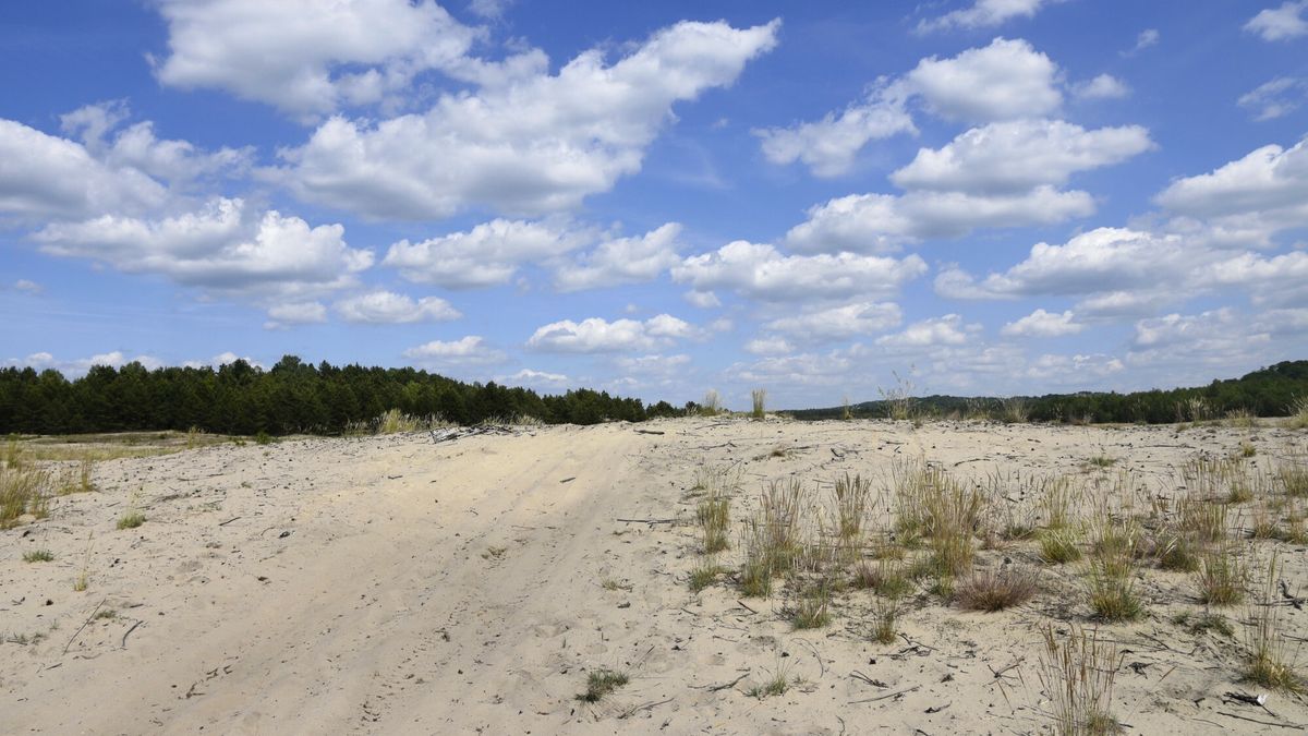 reporter_stock15.06.2017 Klucze N/z Pustynia Bledowska  fot. Jacek Boron/REPORTERJacek Boron/REPORTER