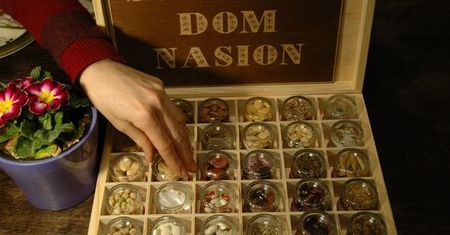 Jawor. Lokalne dziedzictwo genetycznie niemodyfikowane. Nasiona od sąsiada ogrodnika