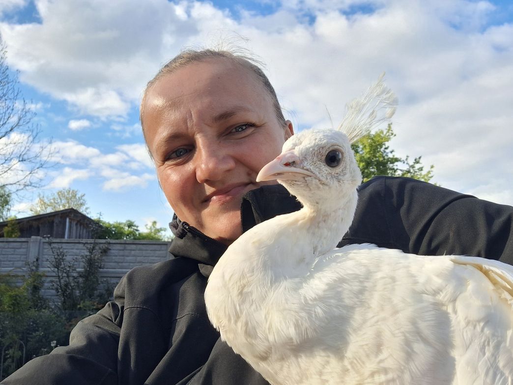 Emilia z "Rolnicy. Podlasie" dostała białego pawia