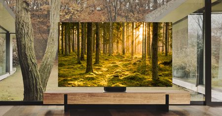 "Mistrzowska promocja" Samsunga. Kupisz telewizor, zwrócą ci część pieniędzy