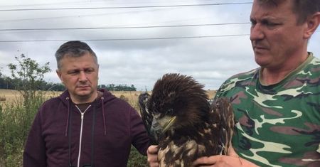 Policjant z Dolnego Śląska uratował zwierzę, które jest w Polsce bardzo rzadkie