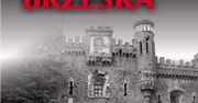 Czego się boi Suzy-Sue?