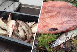 Mieli pomóc w zarybianiu. Ryby zamiast do jeziora, wrzucili do worka