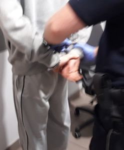 Bielsko-Biała. Ośmiu przestępców w rękach policji, niektórzy sami prosili się o kłopoty