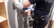 Bielsko-Biała. Ośmiu przestępców w rękach policji, niektórzy sami prosili się o kłopoty