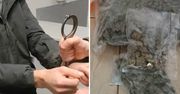 Koszalin: 1000 porcji narkotyków zabezpieczone u 34-latka. Pomógł pies policyjny Iron
